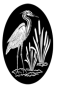 Egret in the Cattails (Reversed)